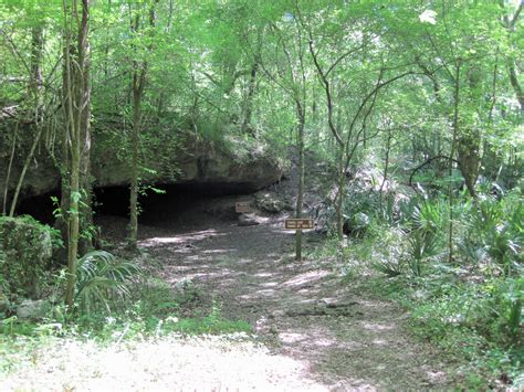 Exploring Florida Caverns State Park In Marianna Florida Northwest Florida Outdoor Adventure