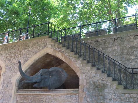 London The Tower Of London The Menagerie Terracotta Buff Flickr