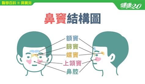 醫學百科 鼻竇炎 │ 健康20