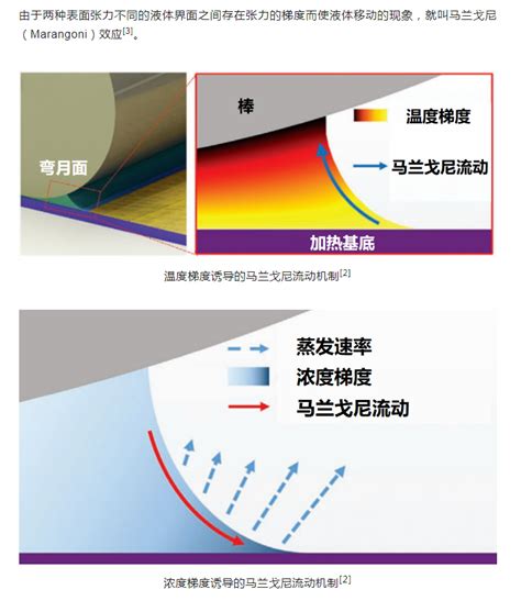 神奇的马兰戈尼辅助棒涂法 天津市分子光电科学重点实验室