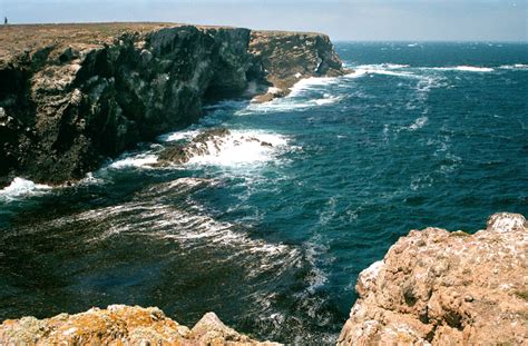 The Channel Islands of California — Channel Islands Restoration