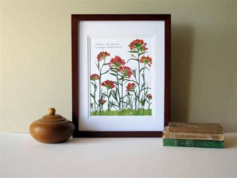 Pressed Flower Print X Double Matted Indian Paintbrush