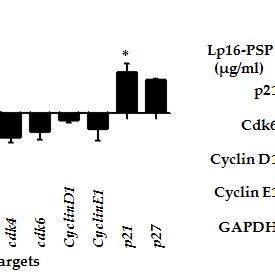 Lp16 PSP Induced P21 WAF1 CIP1 Mediated G1 Cell Cycle Arrest In HL 60