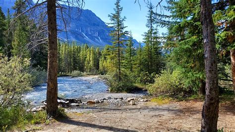 9 Best Campgrounds In Banff National Park Ab Planetware