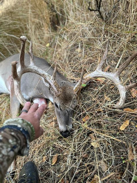 Exclusive gear reviews will soon launch on the washington state hunting forum 2