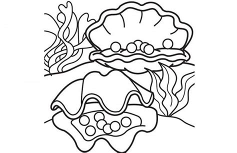 Los Dibujos Para Colorear Dibujos De Conchas De Mar Para Colorear Coloring Pages Cartoon