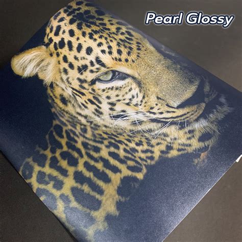 Koala Pearl Glossy Printer Paper 8 5x11 In 30lb Photo Quality Printer