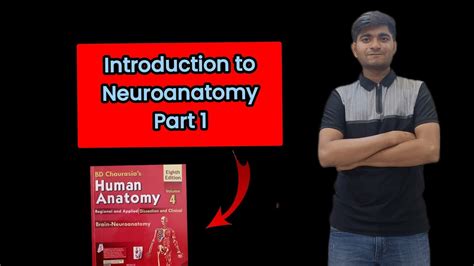 Introduction To Neuroanatomy Part 1 Youtube