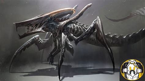 The Arachnid Xenomorph Hybrid | Starship Troopers - YouTube