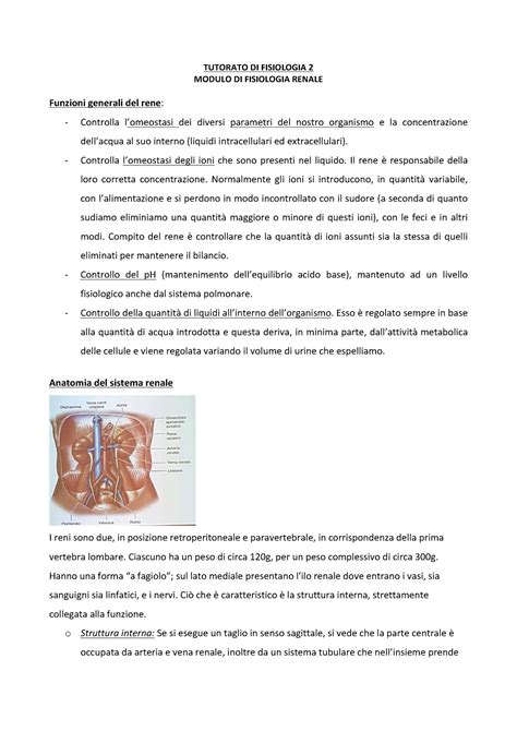 Sistema Renale Appunti Di Fisiologia Tutorato Di Fisiologia Modulo