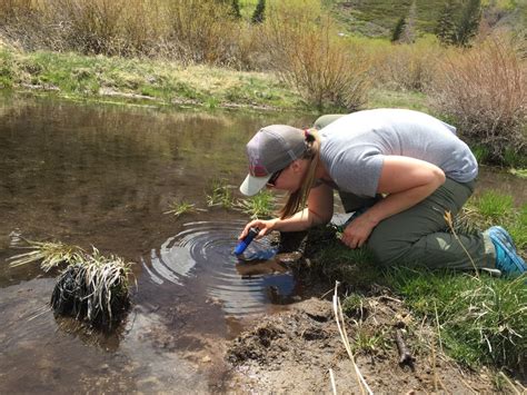 LifeStraw Flex Review Tested Rated