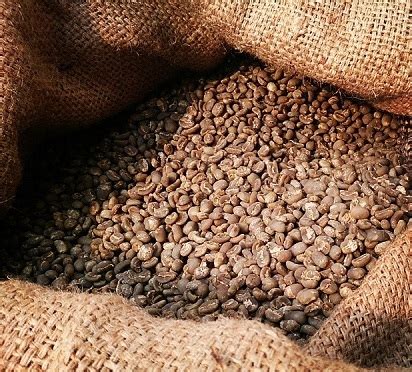 Harga Kopi Arabika Per Kg