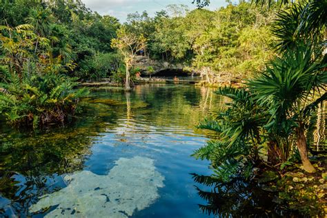 Los Países Más Biodiversos Del Mundo Mi Viaje