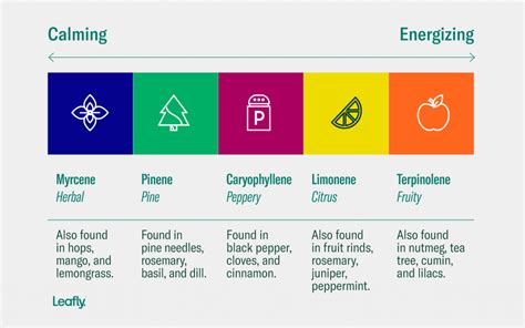 Cannabis 101: Strains, Cannabinoids, and Terpenes - 253 Farmacy