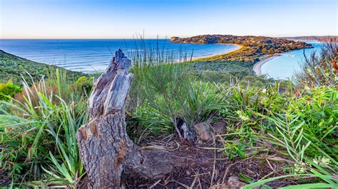 Barrenjoey Headland Palm Beach Sydney Mark C Flickr