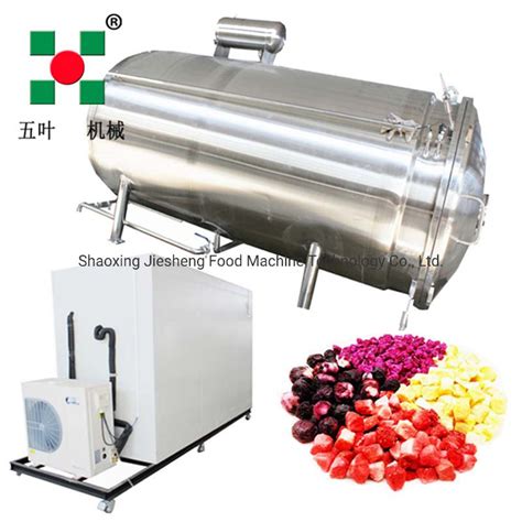 Factory Freeze Dried Fruit Vacuum Dryer Freeze Drying Lyophilizer Price