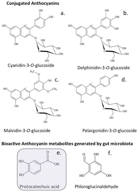 Antioxidants Free Full Text The Potential Of Flavonoids And