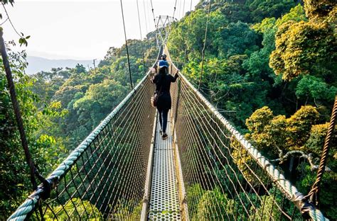 Days Nyungwe National Park And Lake Kivu Safari Safari Vacations