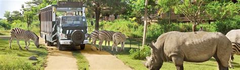 BALI SAFARI & MARINE PARK | BaliHonestDriver.Com