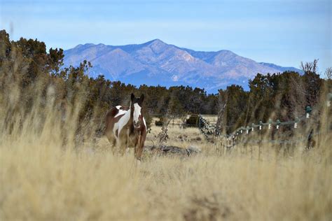 The 7MSN Ranch: A January day in New Mexico