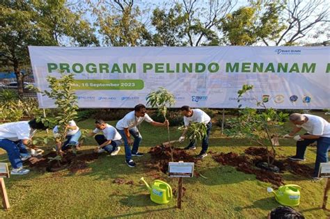 Hari Ozon Sedunia Pelindo Tanam 2 500 Pohon Di Kawasan Pelabuhan