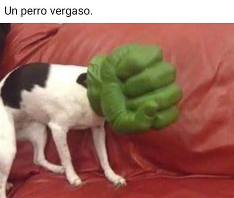 Meme De Perro Meme Subido Por Ariel Ytb Memedroid