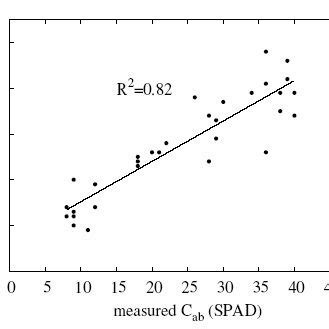 Calibration Of The Spad Values Using C Ab Concentrations Derived From