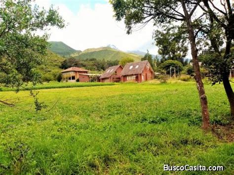 SE VENDE HERMOSO TERRENO DE 1000m2 EN SAUCEDA LIMATAMBO CUSCO en Perú