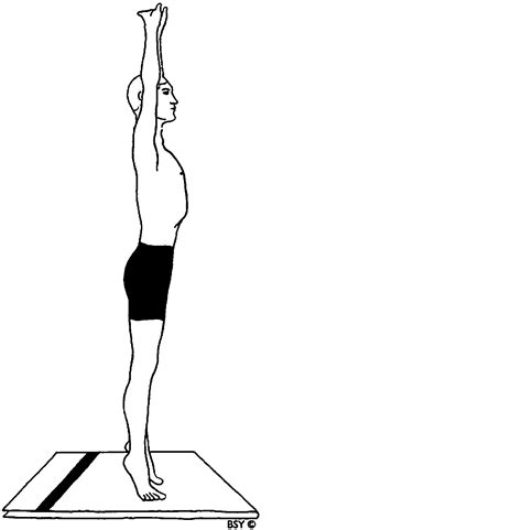 Individual Yoga Instruction: Tadasana (palm tree pose)