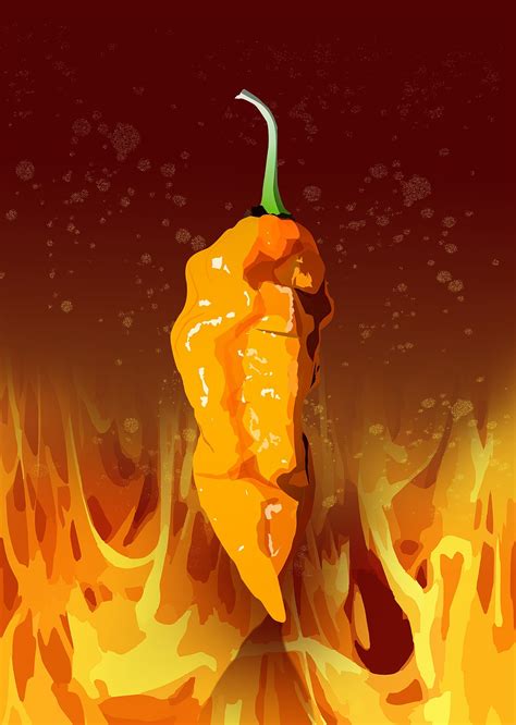Free Spicy Hot Spicy Images Pixabay