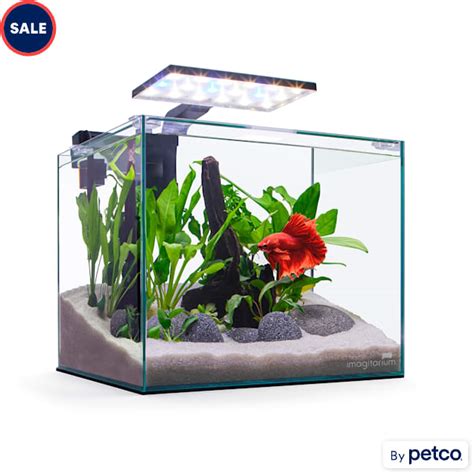 Imagitarium Glass Betta Aquarium Kit Gallons Petco