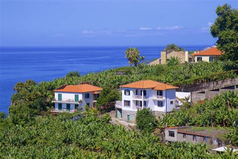 Plantaciones De Pl Tano Y Playa En Madeira Portugal Imagen De Archivo