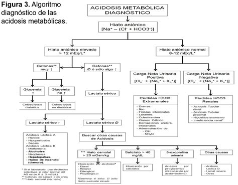 Trastornos del metabolismo ácido base Nefrología al día