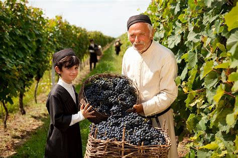 Discover Qvevri Tradition in Georgia's Kakheti Wine Region ...