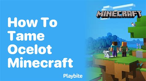 How To Tame An Ocelot In Minecraft A Quick Guide Playbite