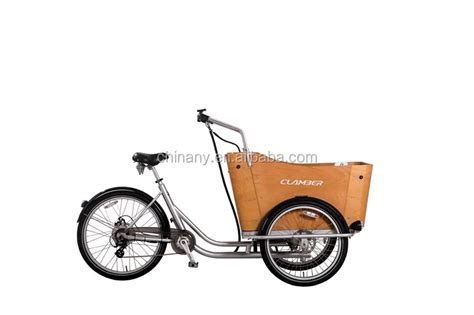 New Electric Tricycle Cargo Bike / Trike For Kids And Loved Pet T-boxe ...