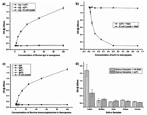 A Analysis Of Antigen Binding Affinity Of Scfv By Elisa To Evaluate Download Scientific