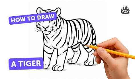 How To Draw A Tiger For Kids Easy With Pencil