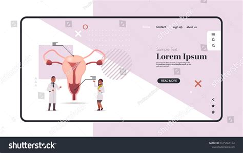 Vektor Stok Doctors Couple Examining Female Reproductive System Tanpa