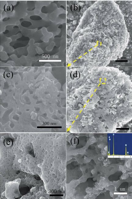 A Sem Image Of Bio C B And C Di Ff Erent Magni Fi Cation Sem