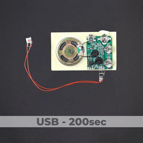 USB Programmed - Push Button Sound Module - 200 Sec - bigDAWGS greetings