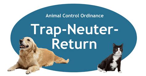 Trap-Neuter-Return | Porter County Animal Shelter, IN