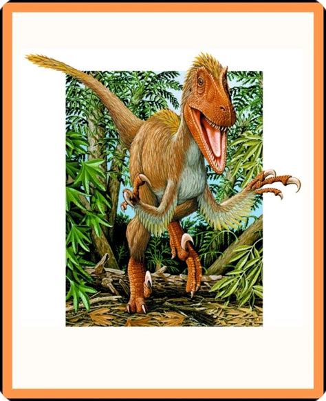 Dinosaurs and the Evolution of Feathers