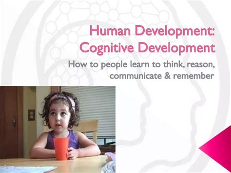 Ppt Human Development Cognitive Development Powerpoint Presentation