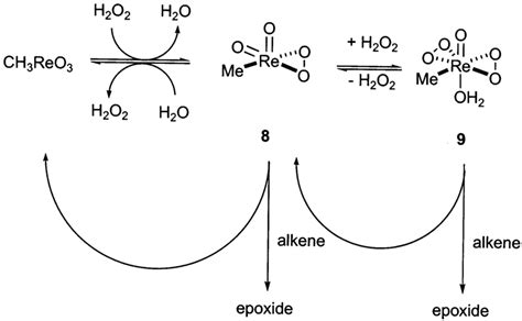 Scheme 3 Catalytic Cycle In Methyltrioxorhenium Mediated Epoxidations