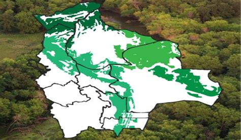 Bolivia La Defensoría Del Pueblo Alerta Que 20 De Las 22 áreas