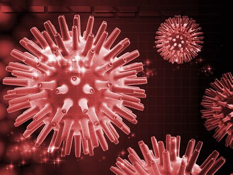 Investigation of Proteins Expressed in Herpes Simplex-1 Infected Cells