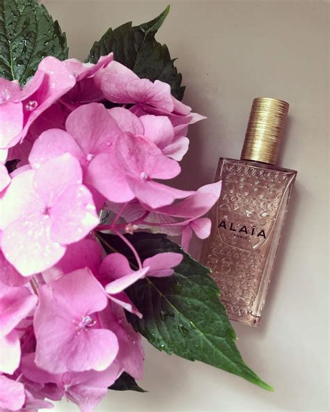 Ala A Nude Alaia Paris Perfumy To Perfumy Dla Kobiet