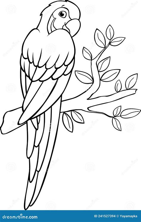 Coloring Page Cute Yellow Blue Macaw Sits And Smiles Stock Vector