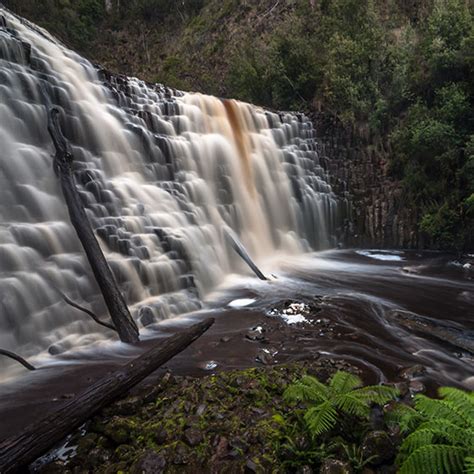 dip falls   big tree discover  tarkine